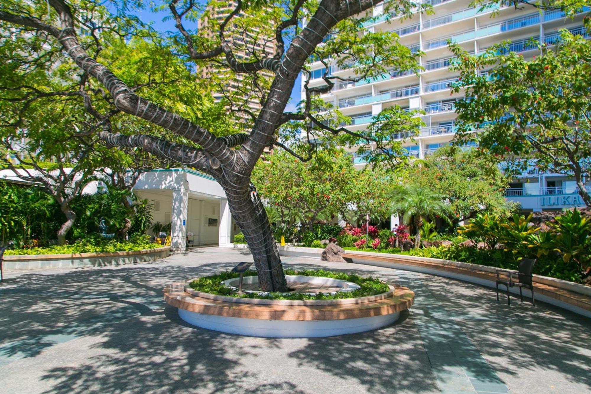 Ilikai Tower 1340 Lagoon View 1Br Honolulu Extérieur photo